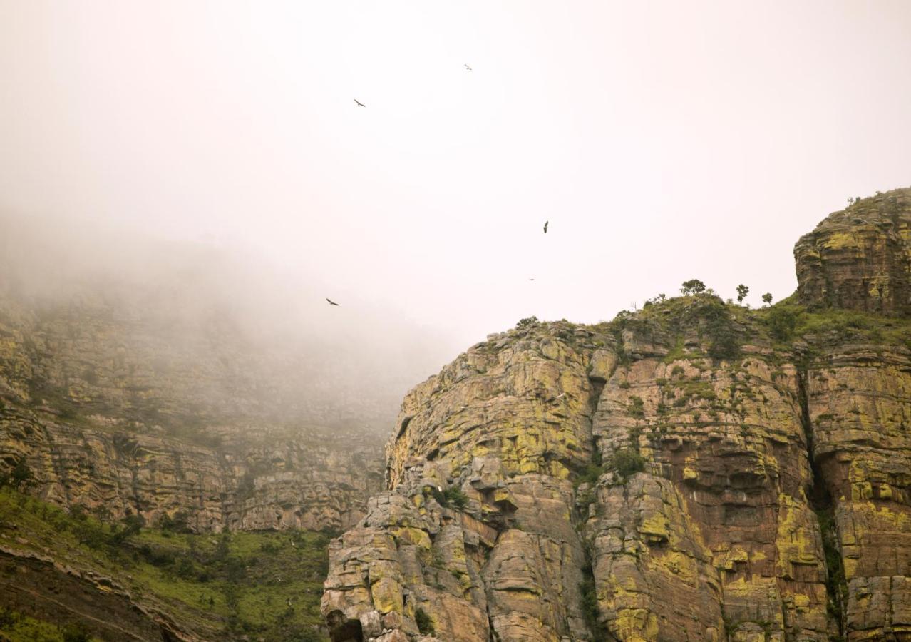 Cape Vulture Conservancy フッドスプルイト エクステリア 写真