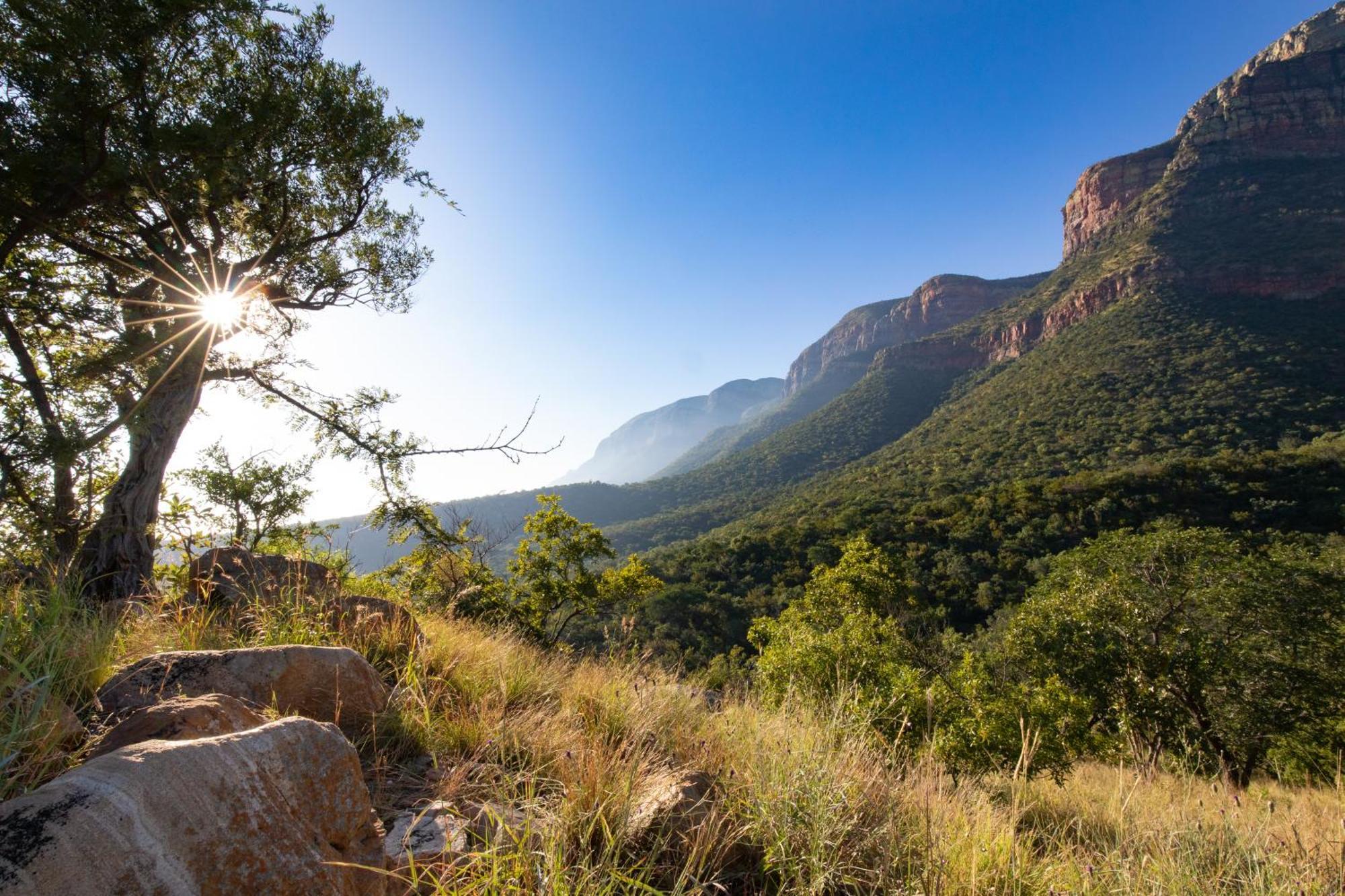 Cape Vulture Lodge フッドスプルイト エクステリア 写真