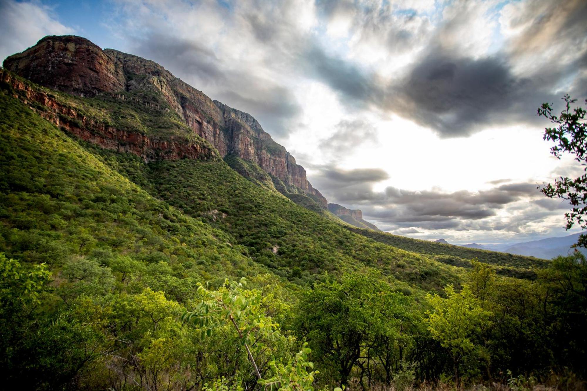 Cape Vulture Lodge フッドスプルイト エクステリア 写真